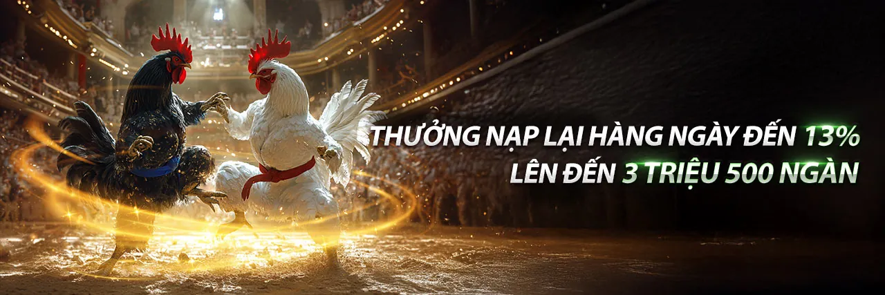 Hình ảnh chính về tuân thủ GDPR của K9BET Nổ Hũ